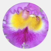 Orchideen-Blume und -bedeutung Runde Aufkleber