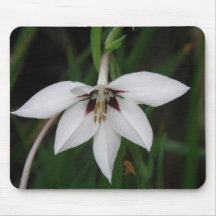 Orchideen-Blumen-Mausunterlage Mauspads