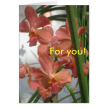 Orchideen Grußkarten