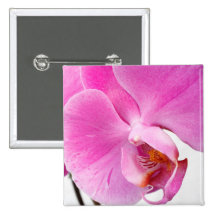 Orchideen-Knopf Buttons