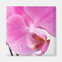 Orchideen-Magnet Kühlschrankmagnete