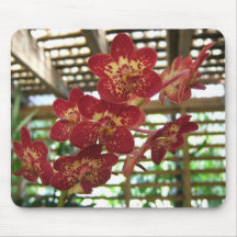 Orchideen-Mausunterlage Mousepads