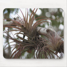 Orchideen mousepad