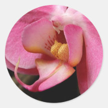 Orchideen-Pflanzen-Blumen Aufkleber
