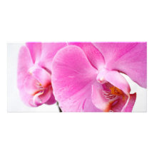 Orchideen Photo Grußkarte