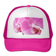 Orchideen Retrokappen
