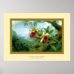 Orchideen und Hummingbird~ Martin Johnson Heade Posterdruck