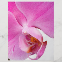 Orchideen Vollfarbige Flyer
