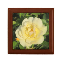 Oregold gelber Rosen-Geschenk-Kasten Geschenkboxen