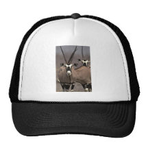 Oryxantilope Retromütze