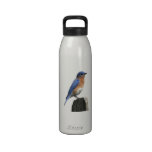 Ostdrossel-Flasche Trinkflasche