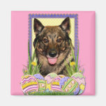Osterei-Plätzchen - Vallhund Magnete