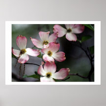 Ostern Blüten Plakatdrucke