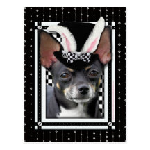 Ostern - etwas Häschen-Lieben Sie - Chihuahua Postkarte