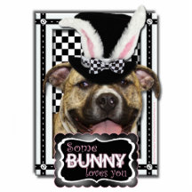 Ostern - etwas Häschen-Lieben Sie - Pitbull Photoskulpturen