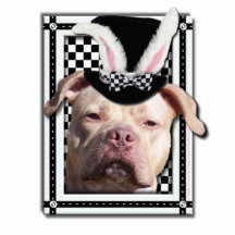 Ostern - etwas Häschen-Lieben Sie - Pitbull Photo Figur