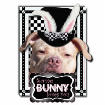 Ostern - etwas Häschen-Lieben Sie - Pitbull Photofigur