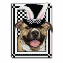 Ostern - etwas Häschen-Lieben Sie - Pitbull Photoausschnitte