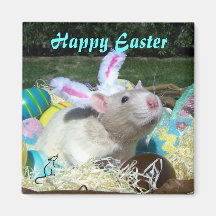 Ostern-Magnet Magnete