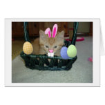 Ostern orange Tabby-Miezekatze-Katze Karten