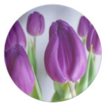 Ostern-Tulpe-Platte Teller