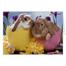 Ostern-Wünsche Karte