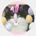 Osternschwarzweiss-Katze Runder Sticker