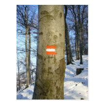 Österreich-Flaggenbaum Postkarte