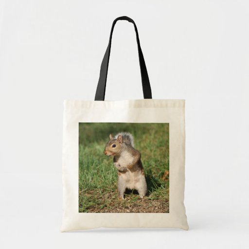 Ostgrau-Eichhörnchen-Tasche