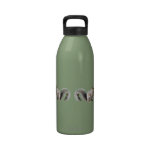 Ostgrau-Eichhörnchen Wiederverwendbare Wasserflasche