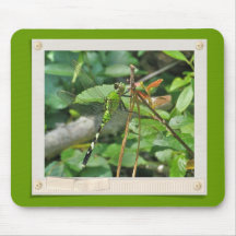 OstPondhawk Libelle koordinierte Einzelteile Mousepad