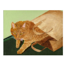 Otis die Katze Postkarten