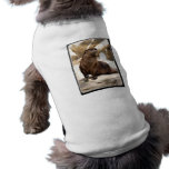 otter_9x12 haustierbekleidung