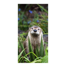 Otter-Aufstellung Photokartenvorlage