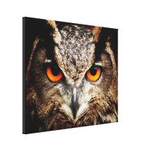 Owl 3 Wrapped Canvas Stretched Canvas Print