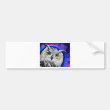 owlnight autosticker