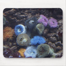 Ozean-Pracht HD Mousepad - Korallenriff