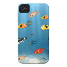Ozeane der Fische iPhone 4 Hüllen