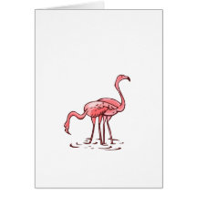 Paare Flamingos Karte