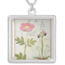 Paeonia oder Pfingstrose und Orchis myanthos Amulett