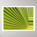 Palme Frawns Posterdruck