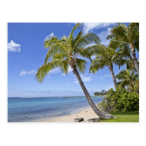 Palmen auf dem Strand in Hawaii postkarten