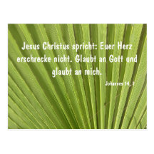 Palmenblatt Postkarten