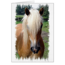 Palomino-Quarterhorse-Gruß-Karte