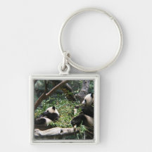 Panda-Bären Keychain Schlüsselbänder