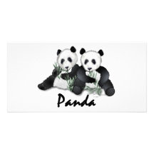 Panda-Bären Personalisierte Foto Karte