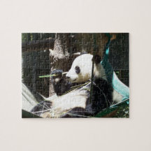 Panda-Bärn-Puzzlespiel