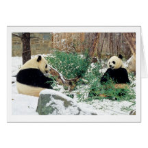 Panda-Feiertags-Karten
