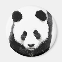 Panda Kühlschrankmagnete