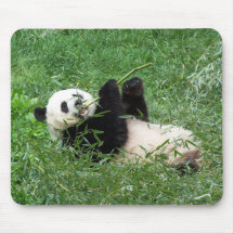 Panda-Lounging Essen BambusMousepad